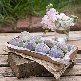 Quantic Dream的《星战》细节：更注重动作 可能是开放世界